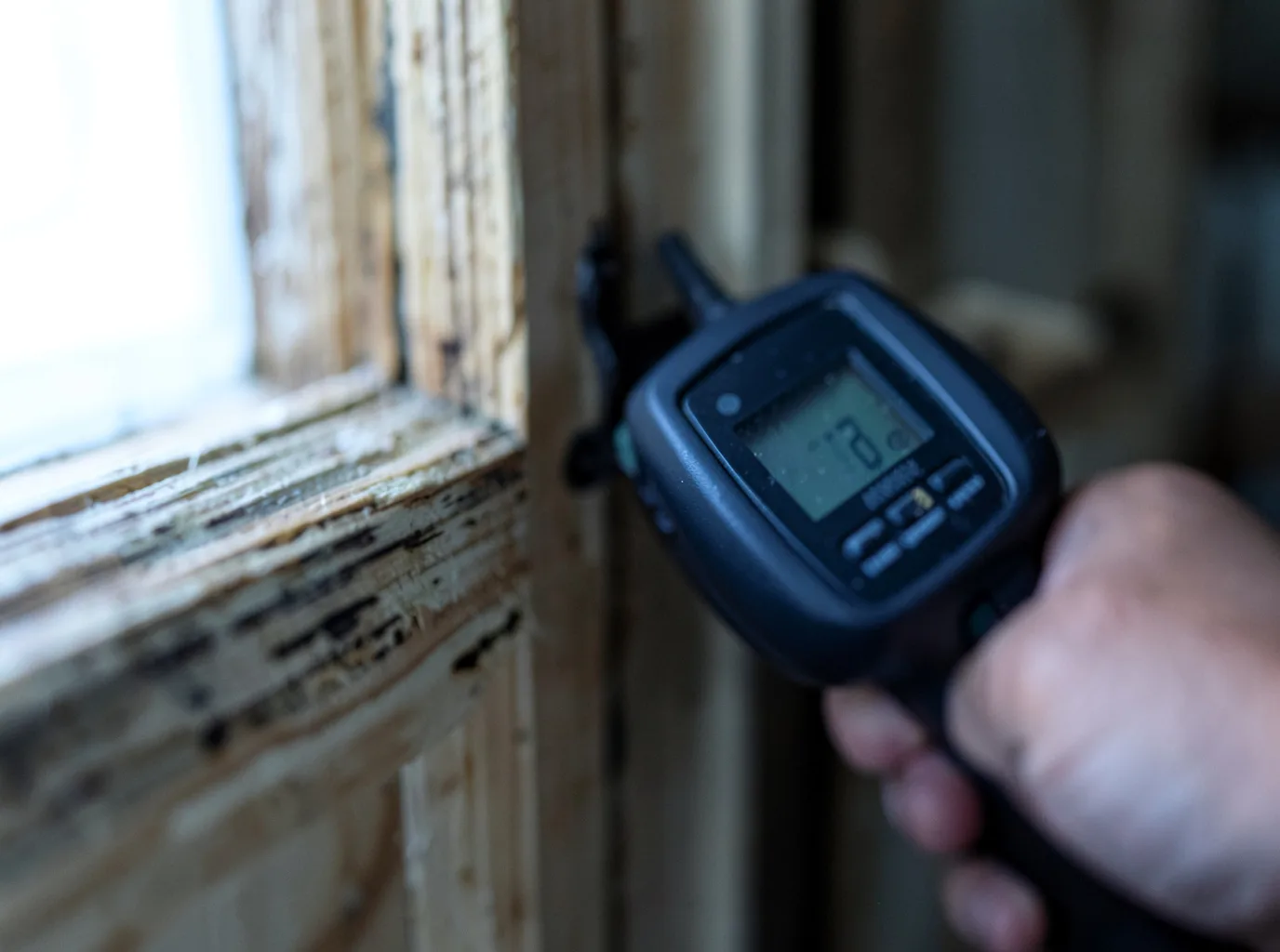 Water Damage Restoration Palm Coast, FL FAQs